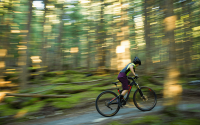Las Mejores Bicicletas de Montaña Baratas