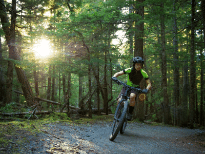 rodillo de entrenamiento