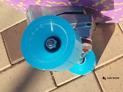 yow snappers (4)  yow snappers