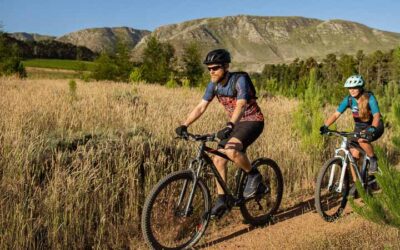 Review y opiniones Rockrider ST 900