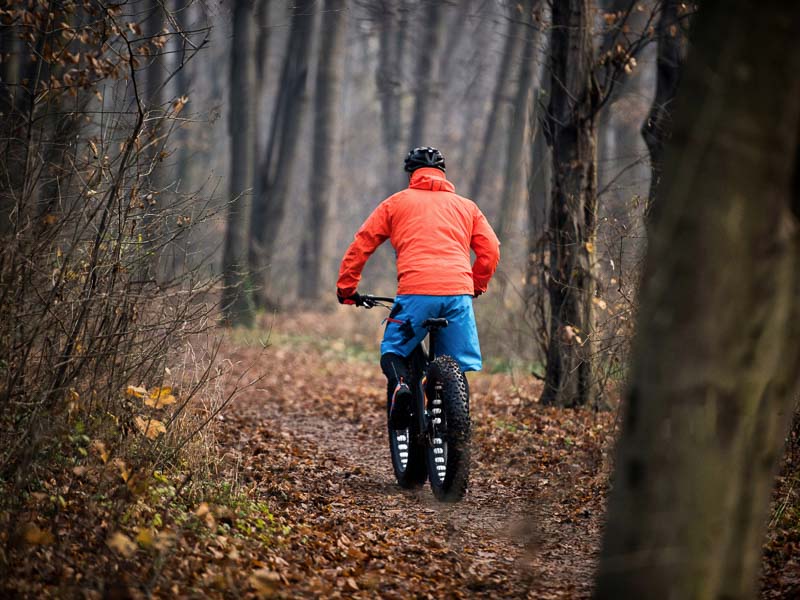 las mejores fat bike electricas-17 las mejores fat bike electricas